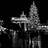 20091205-CRW_7253.jpg