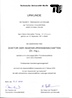 Promotionsurkunde Hildmann T.png
