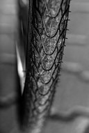 20101023-CRW 0784